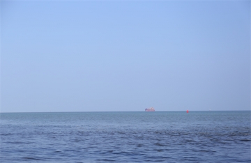 哈尔滨树葬价格查询