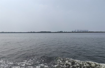 火化后多久海葬比较好一点呢图片