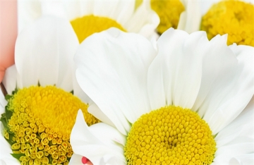 北京东郊殡仪馆骨灰存放收费标准