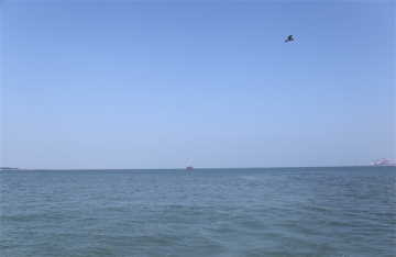 海葬用什么装骨灰好一点