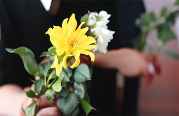 国家对海葬的优惠政策有哪些规定和条件