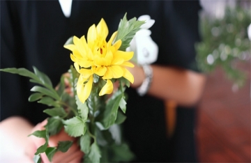 骨灰海葬手续办理流程