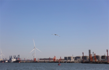 骨灰海葬的流程是怎样的