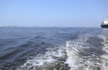 骨灰可以随便撒海里吗为什么呢