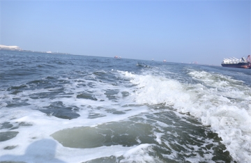 你说人们的骨灰应该撒进海里是什么意思