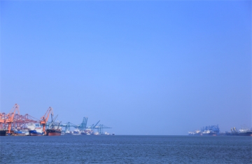 骨灰可以直接撒海里吗图片