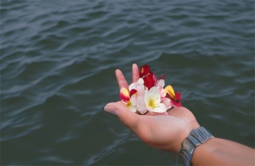 免费海葬怎么办理