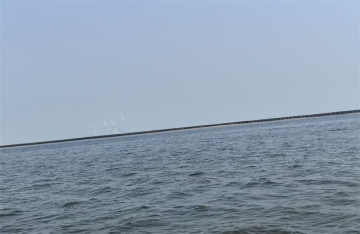 骨灰撒到海里有人管吗视频
