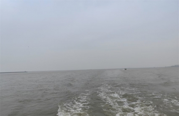 我国哪些地方有海葬的人