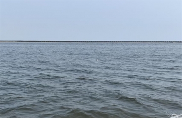 父母参加海葬对子女好吗