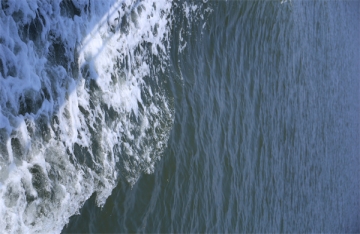 人死后在海里为什么会浮起来