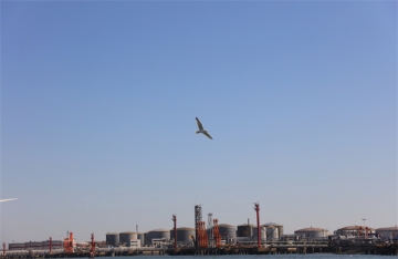 骨灰海葬怎么办理流程