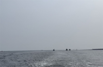 骨灰海撒公司