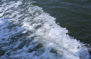 人时候把骨灰撒到大海里好吗