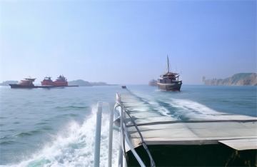 把骨灰撒进海里犯法吗