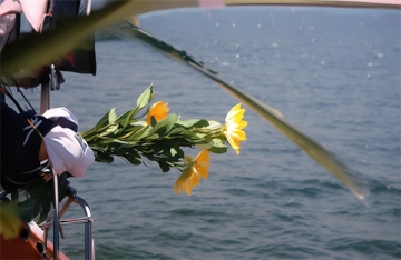 关于海葬民政局官方网站规定的公告是