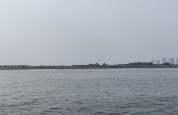 现在海里让投入骨灰吗知乎