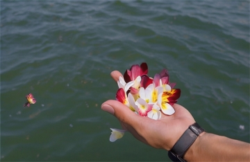 上海海葬流程费用多少钱啊