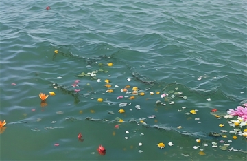 火化了可以直接下葬吗?