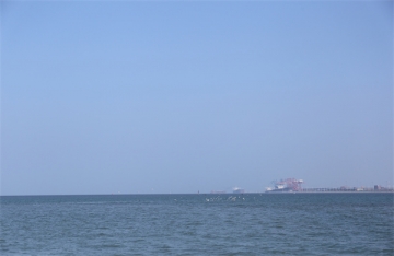 海葬后还能买墓地吗