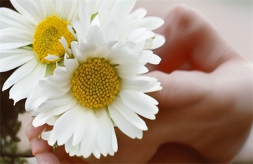 海葬需要准备的东西