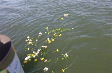 离长治最近的海边城市