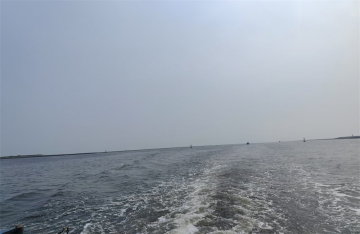 普通人的骨灰可以撒向大海吗